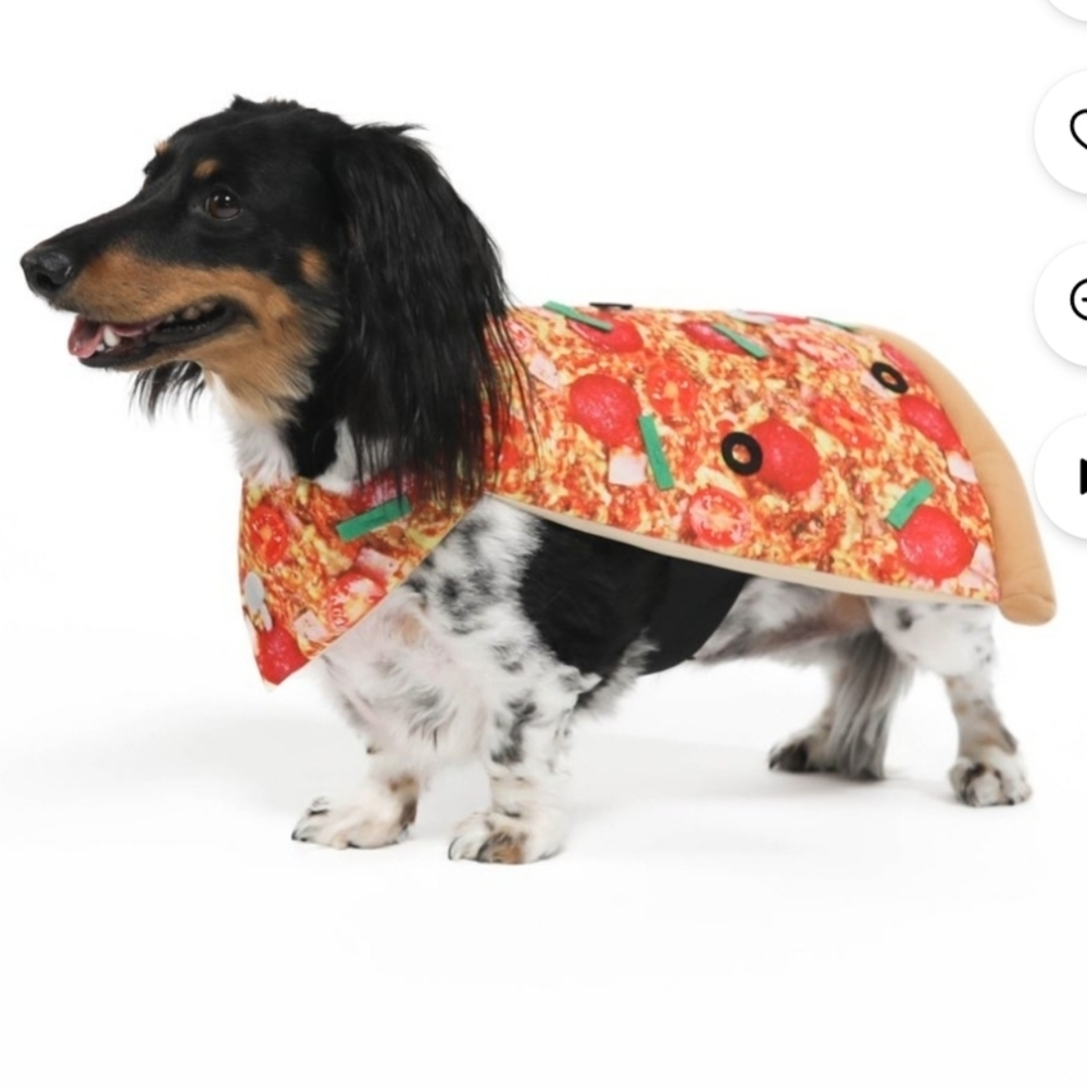 Vibrant Life pizza pet Halloween costume Size Medium